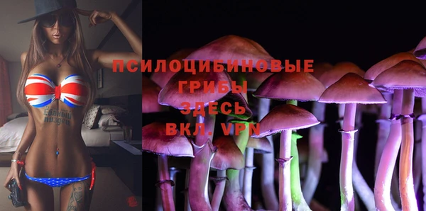 кокаин премиум Ладушкин