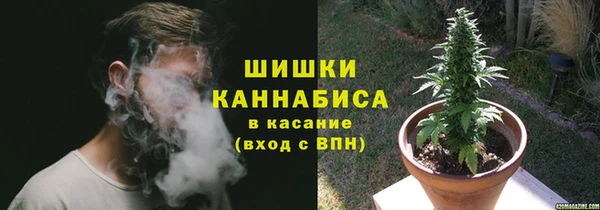 2c-b Лагань