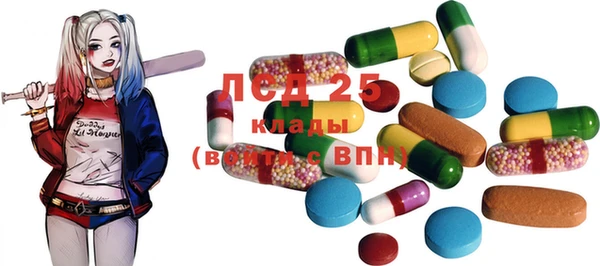 2c-b Лагань